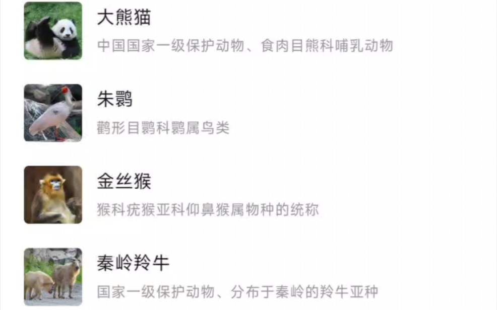 百度百科介绍秦岭四宝,大熊猫、朱鹮、金丝猴、秦岭羚牛哔哩哔哩bilibili