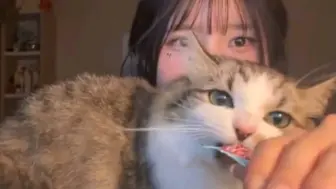 宋河英的猫是自己生的吗