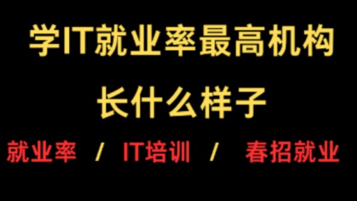 去IT机构培训技术就是为了有更好的就业选择,那我真心建议你可以考虑考虑这几家哔哩哔哩bilibili