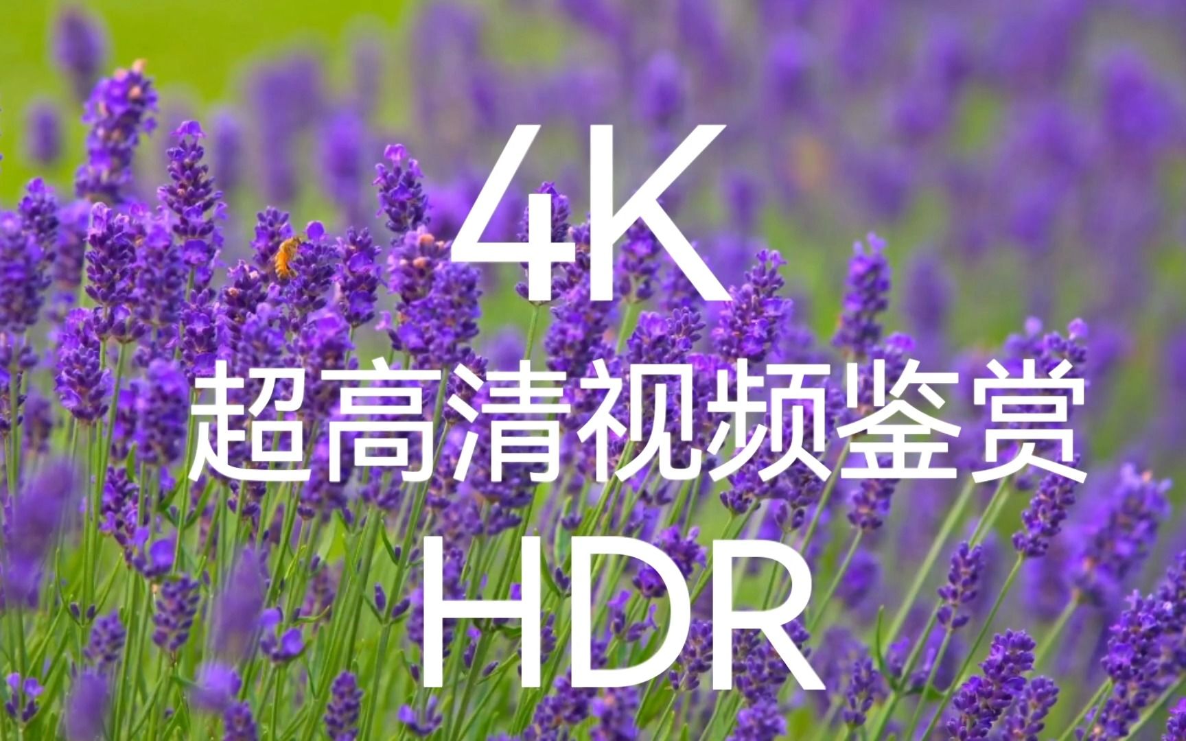 4K/HDR:—超高清视频鉴赏哔哩哔哩bilibili