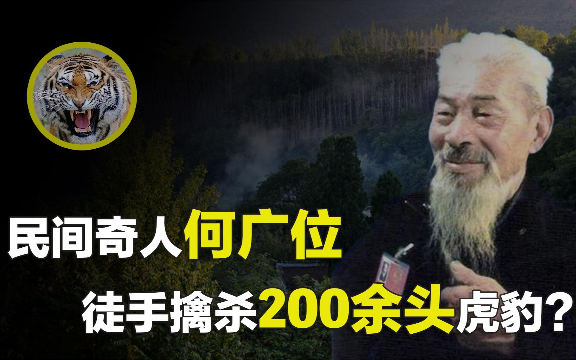 徒手擒杀虎豹200余头,人称当代武松的何广位,为何如此厉害?哔哩哔哩bilibili