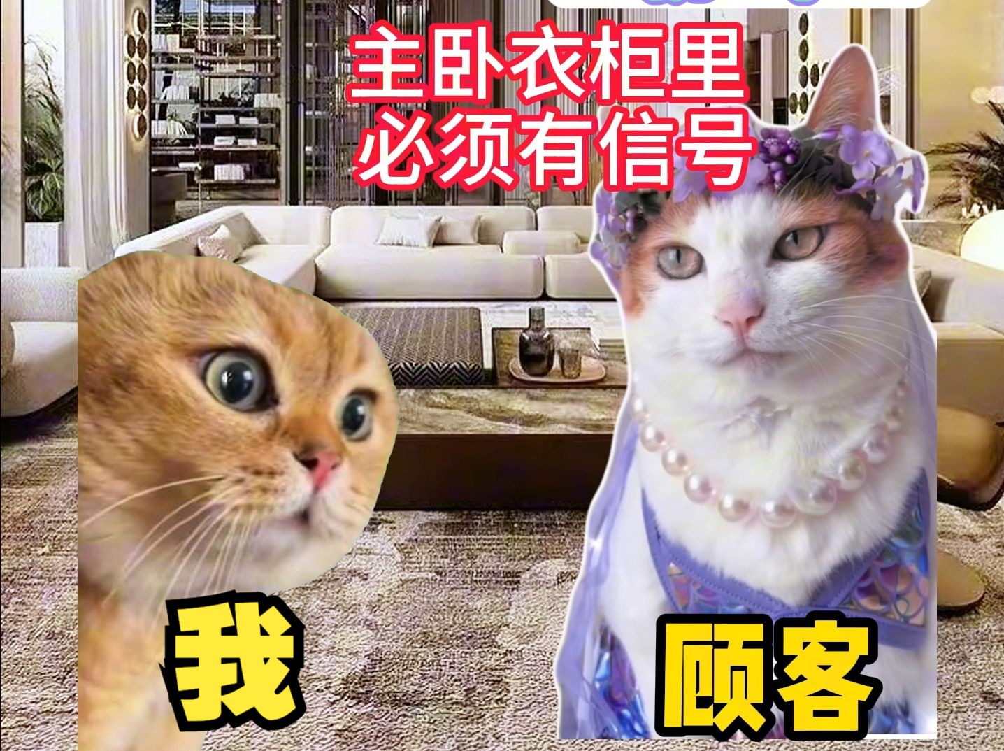 【猫meme】00后宽带师傅被要求在衣柜里装宽带?哔哩哔哩bilibili