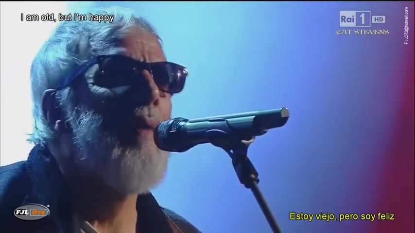 [图]Cat Stevens - Father And Son现场版 (Subtítulos En Español)