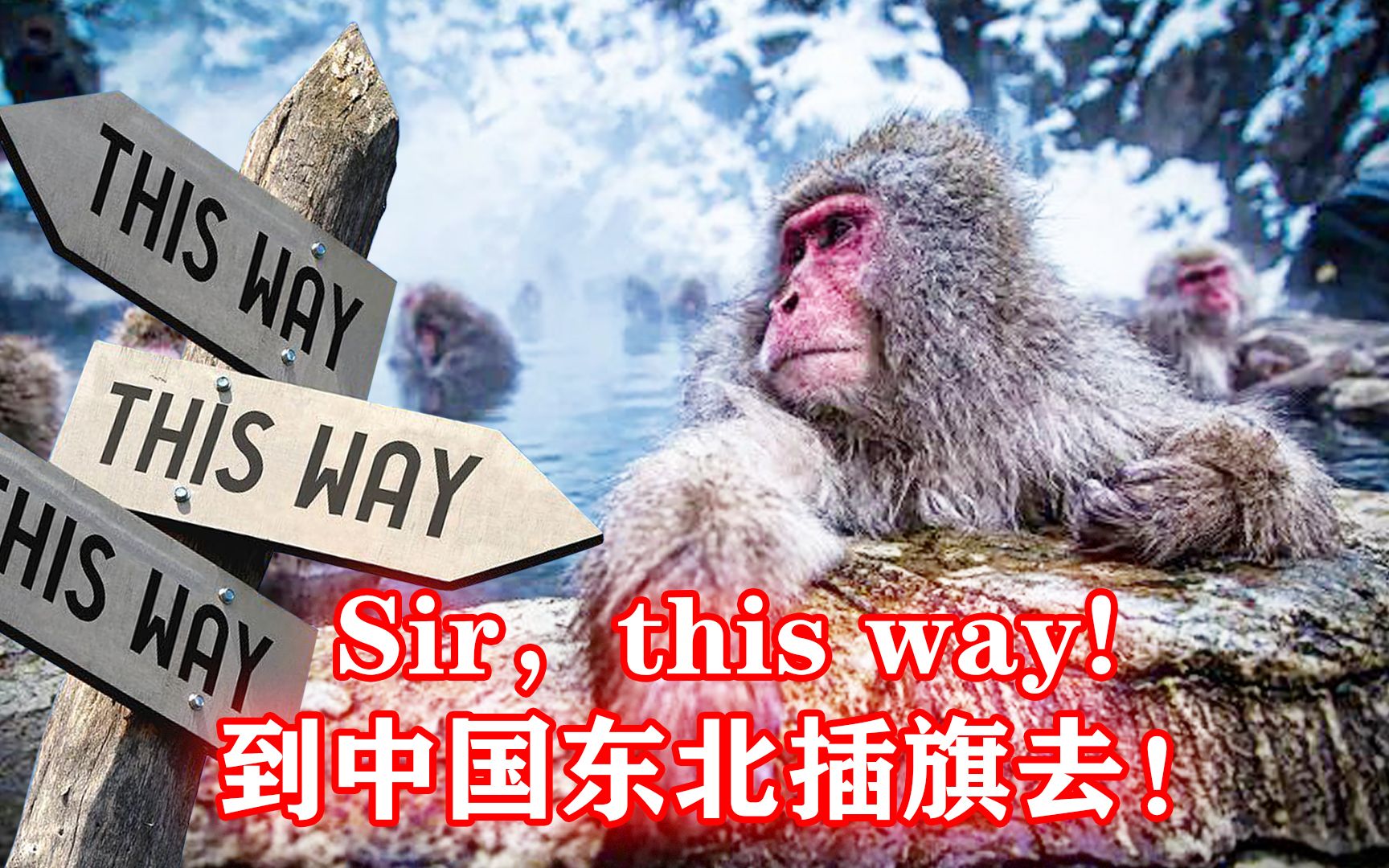 [图]Sir，this way!到中国东北插旗去！