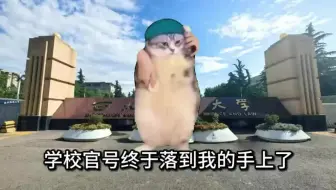 学校官方号终于落到我手上了