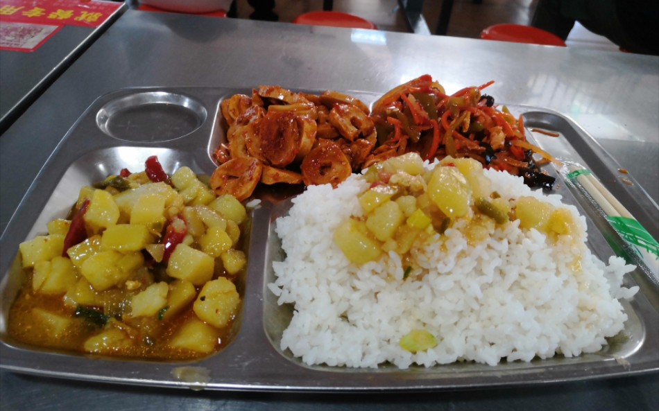 …………………