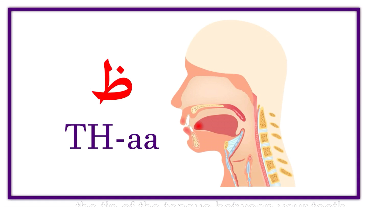 阿拉伯语字母表发音位置讲解Arabic Alphabet Pronunciation哔哩哔哩bilibili