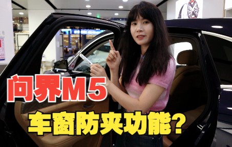 问界M5的车窗防夹功能!帮你测试好了、可以信任哔哩哔哩bilibili