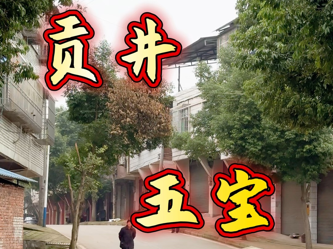 走进自贡市贡井区五宝镇