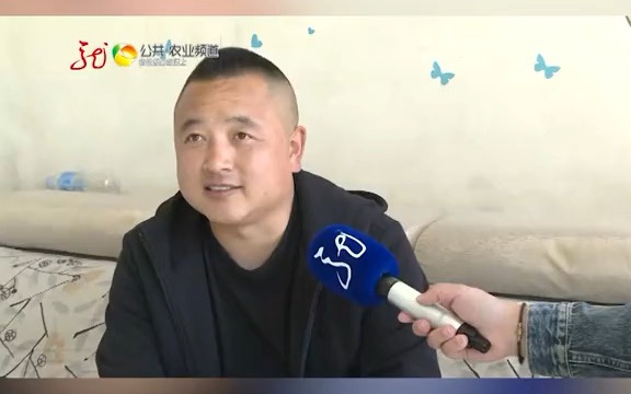 【美丽乡村】土地托管效果好,农民生活步步高哔哩哔哩bilibili