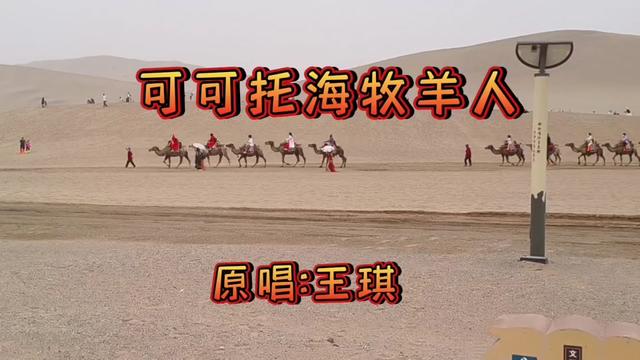 王琪《68可可托海的牧羊人》68优美旋律,质朴歌词真挚的情感.