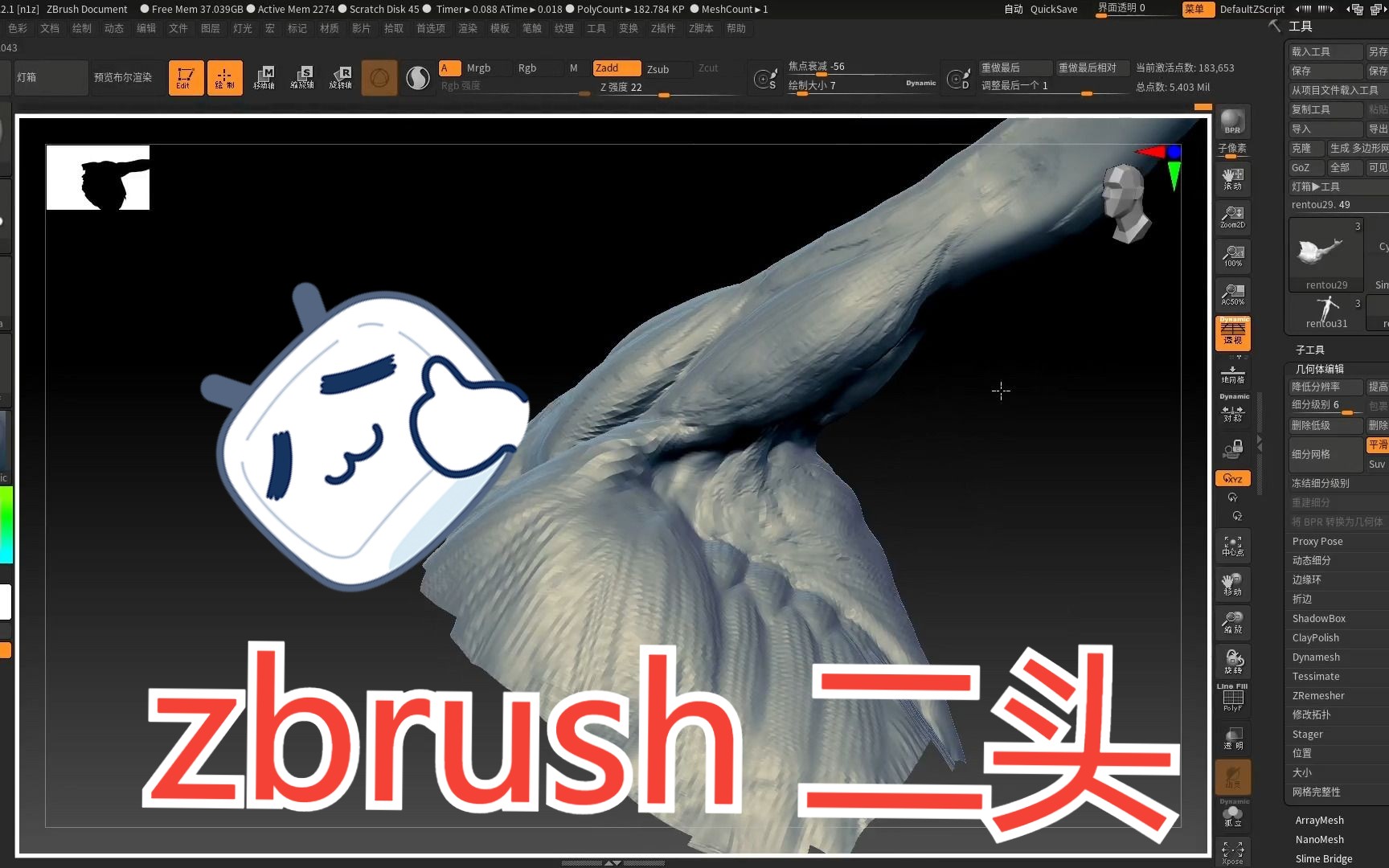 【zbrush大臂雕刻】人体肌肉解剖,肱二头肌,肱三头肌,手臂肌肉,游戏