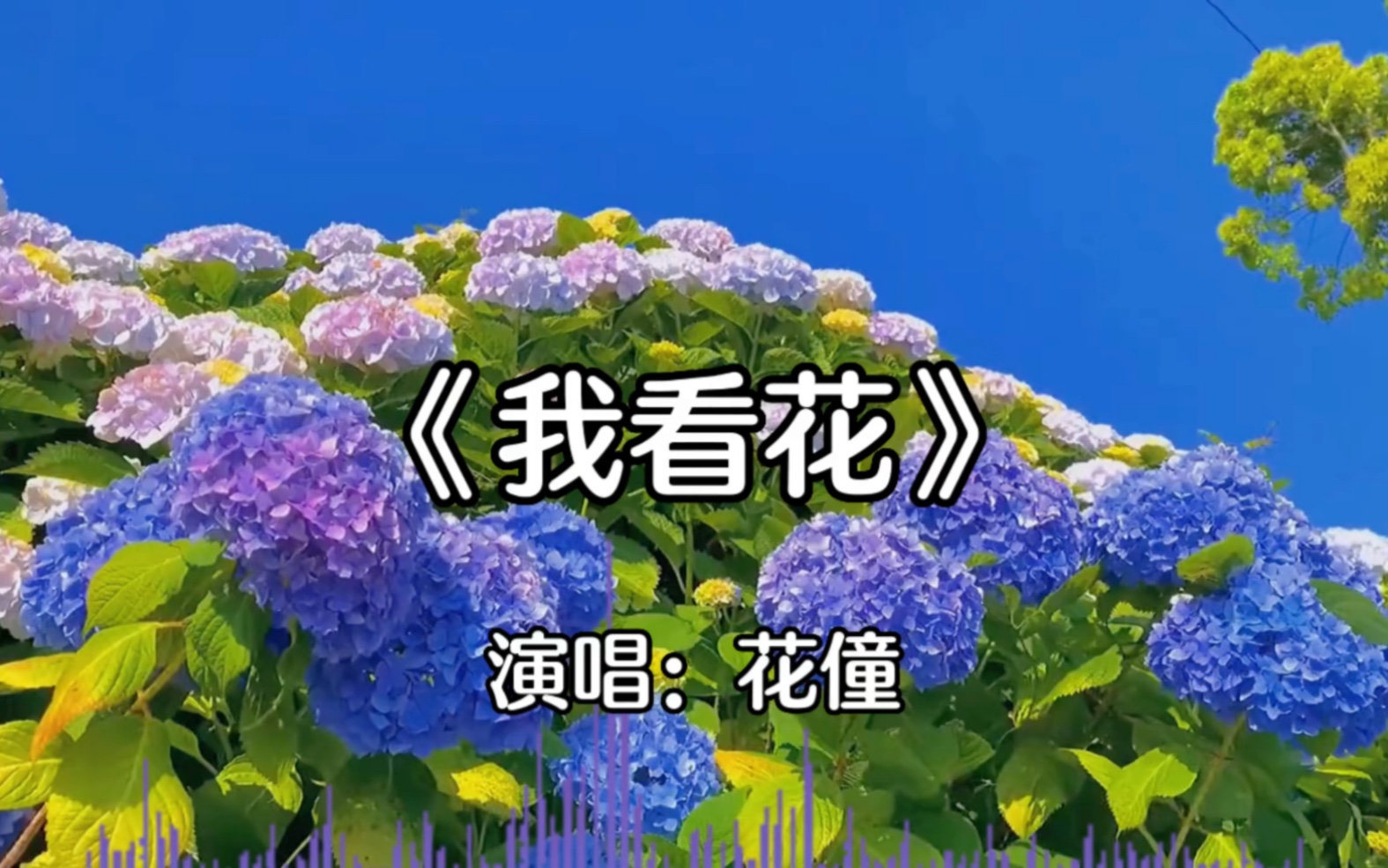 [图]花僮《我看花》，这歌也太好听了吧