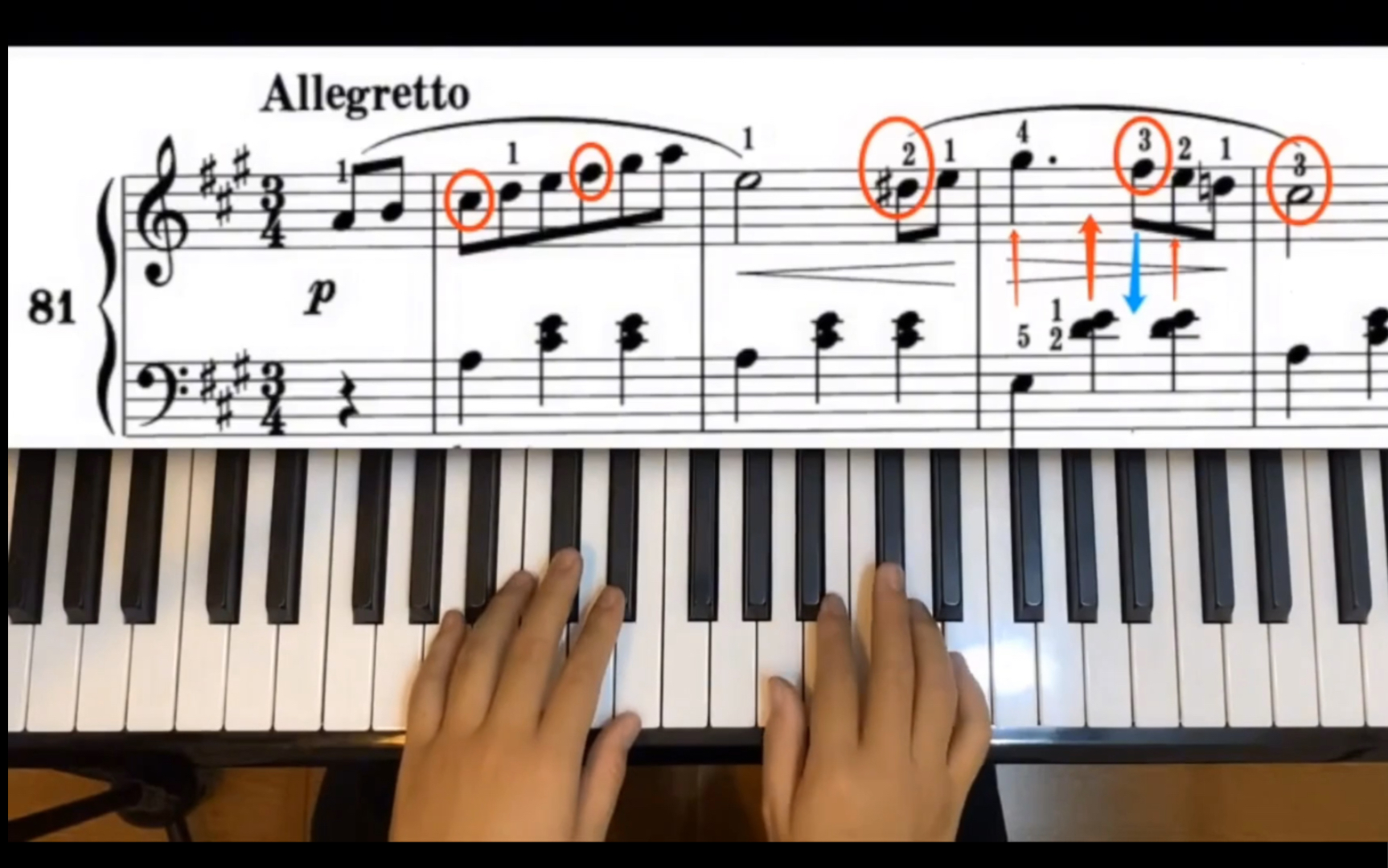 拜厄钢琴基本教程第81条教学,成人钢琴自学,转调,轮指一条搞定_哔哩