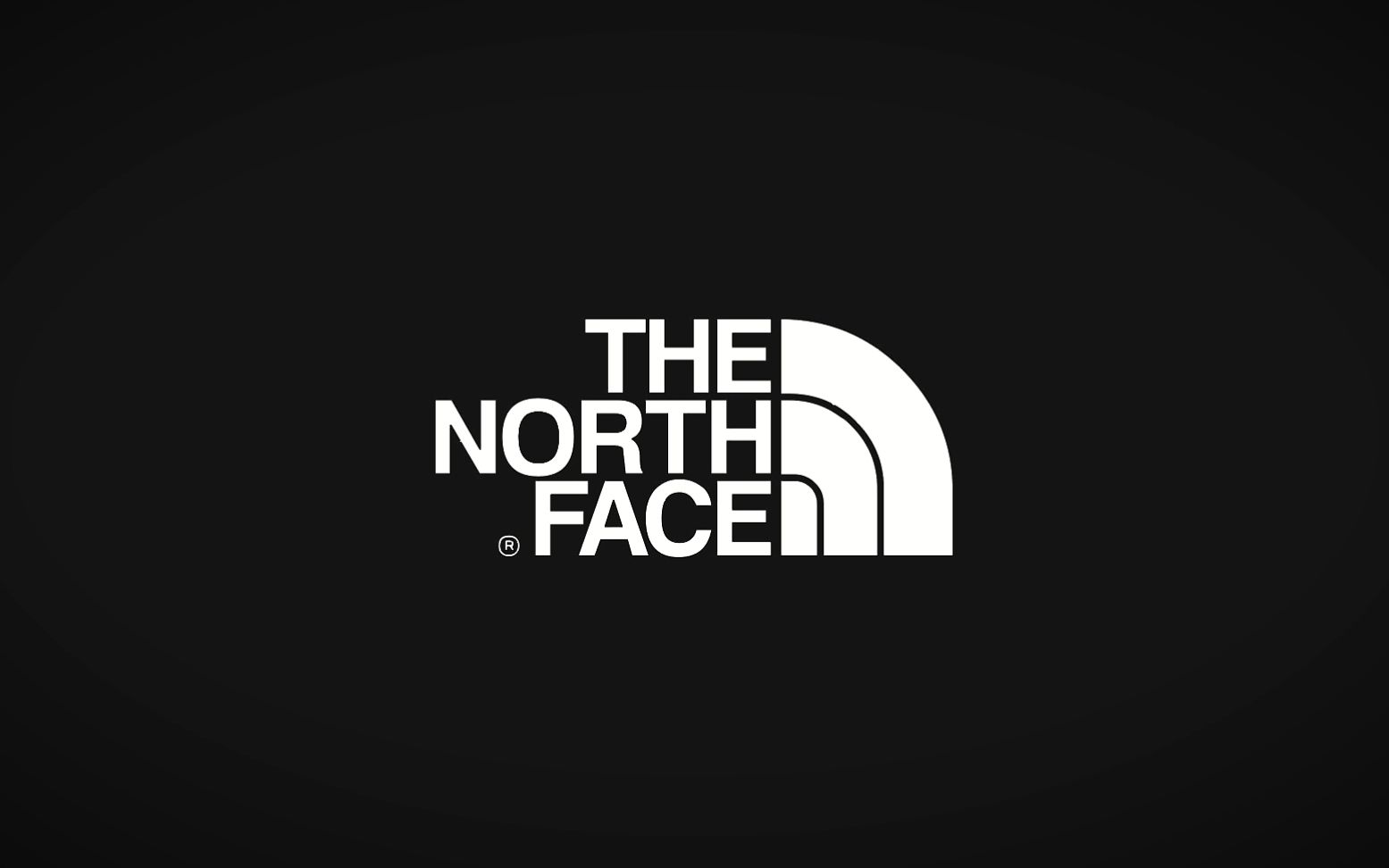 thenorthface20