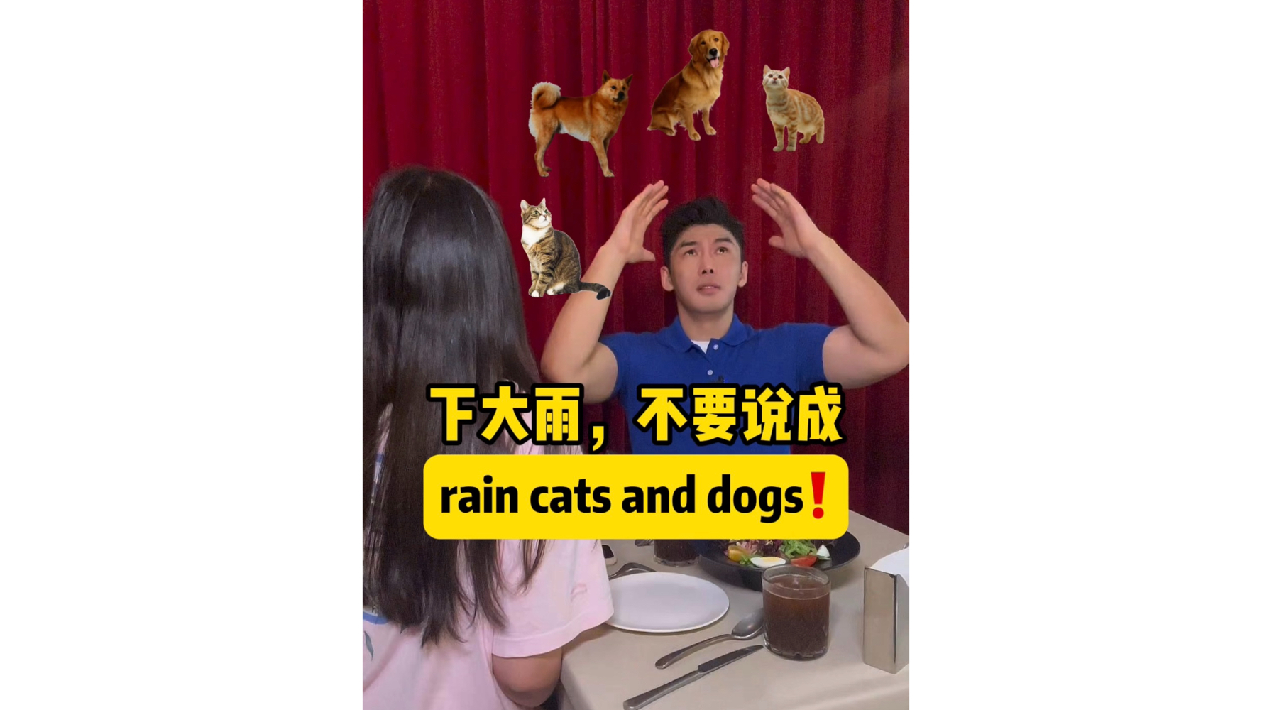 下大雨,不要说成rain cats and dogs❗️哔哩哔哩bilibili