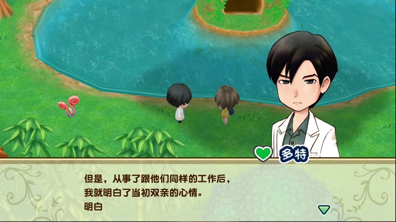 牧场物语重聚矿石镇13