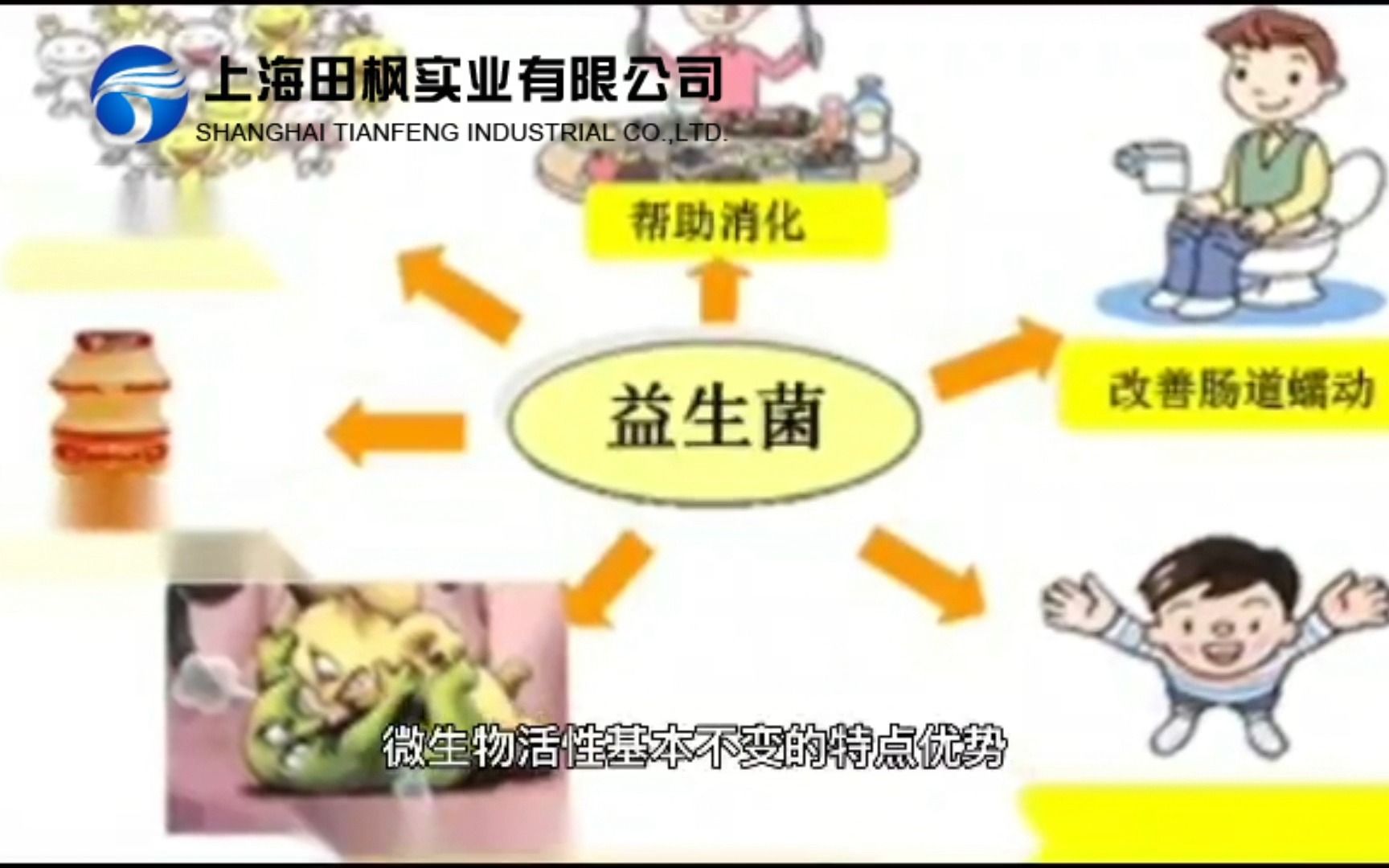 生物制药冻干机 益生菌冻干粉工作原理哔哩哔哩bilibili