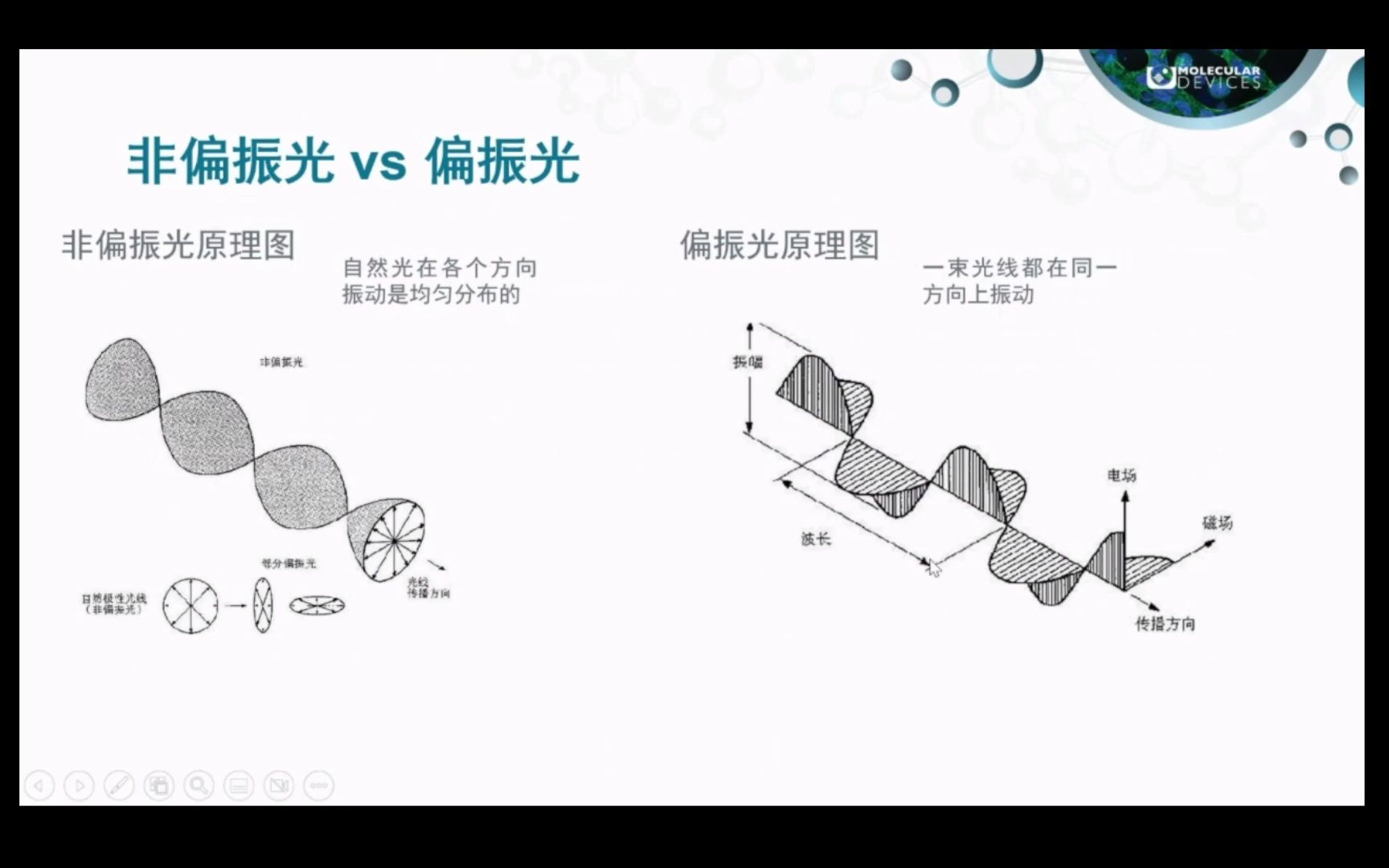 【美谷】荧光偏振技术在酶标仪上的检测及应用哔哩哔哩bilibili