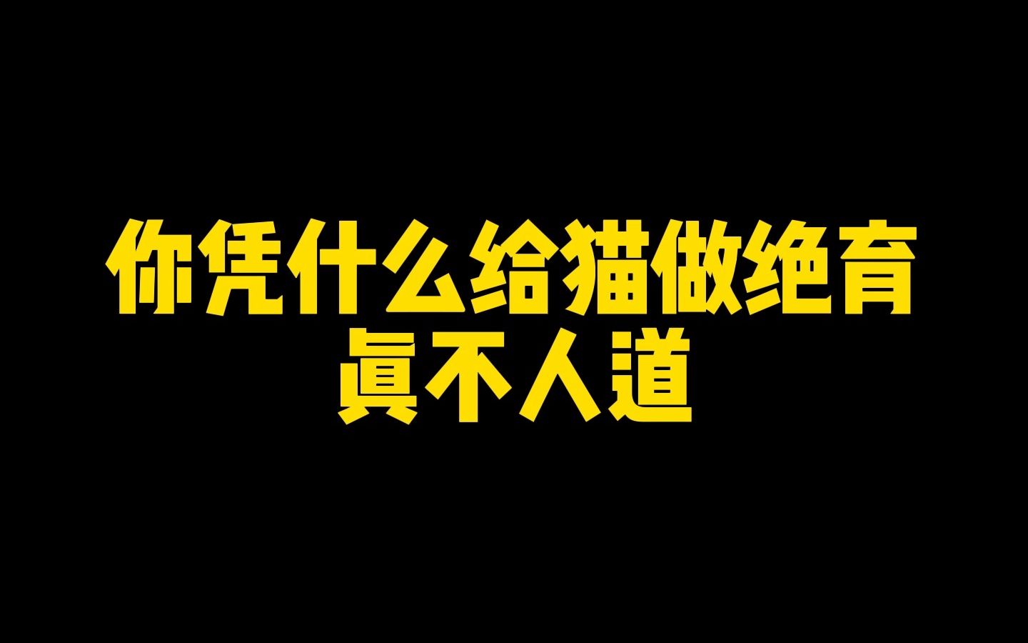 给流浪猫绝育真的是我们错了吗?哔哩哔哩bilibili