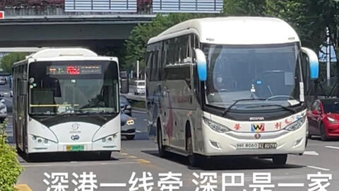 深港荣利巴士内部调配车辆 福田汽车站 深荣罗芳修理厂 全程第一视角pov 哔哩哔哩