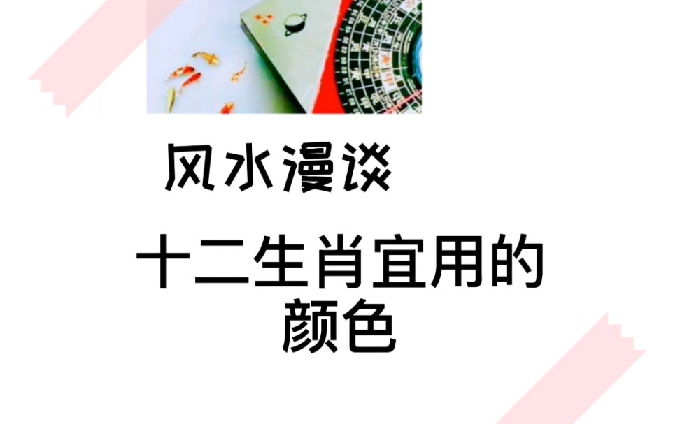 十二生肖宜用颜色哔哩哔哩bilibili