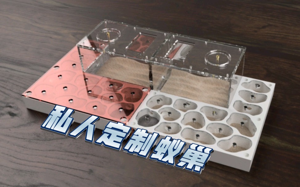 各种蚁巢批发亚克力切割,打印蚁巢出售各种设计图欢迎咨询