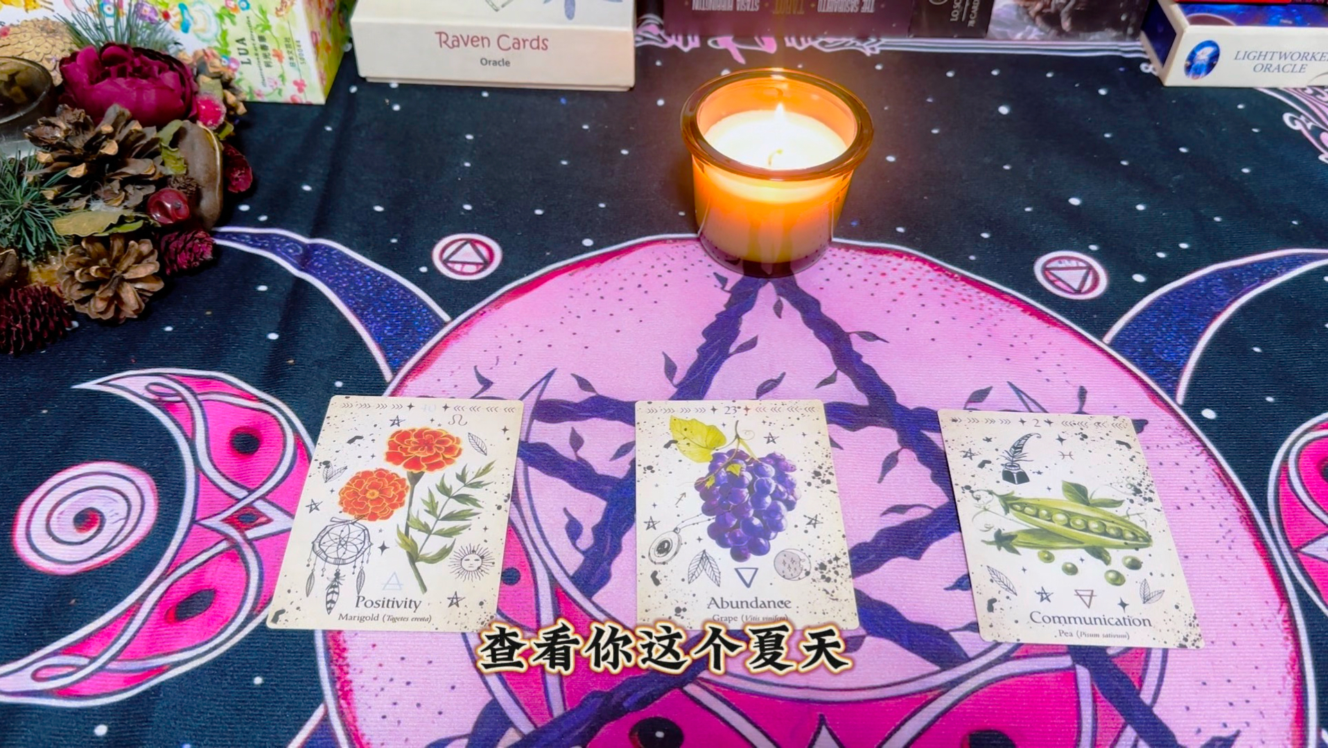 这个夏天超惊喜的事情（7-9月）有哪些