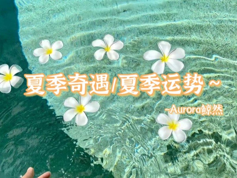 夏季奇遇/夏季运势~哔哩哔哩bilibili