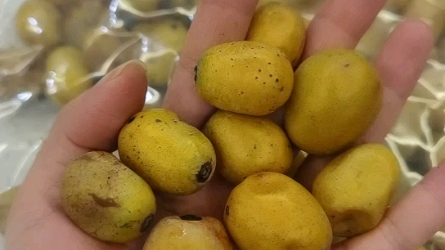 酸枣子小时候的味道