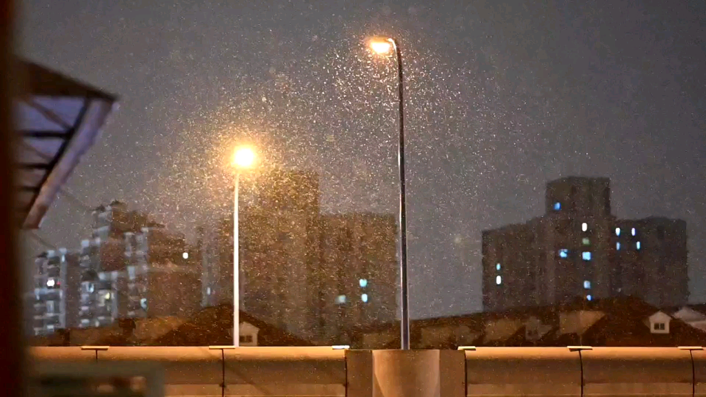 上海雨夹雪图片图片