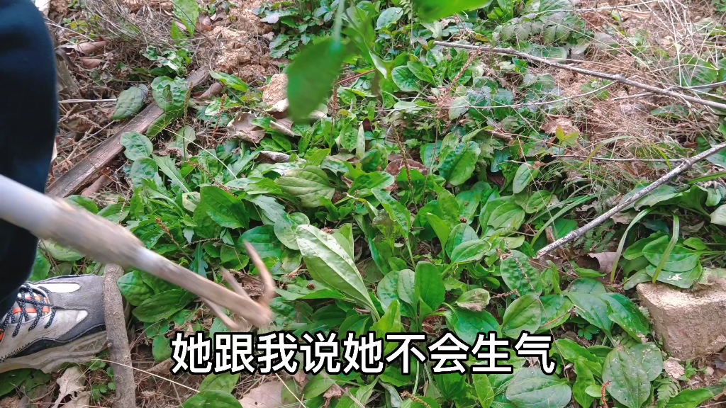 [图]深山里住着一个光棍，没有老婆没谈过恋爱，女网友来见我了