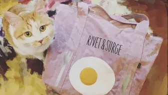 Rivet Surge福袋开箱 哔哩哔哩 Bilibili