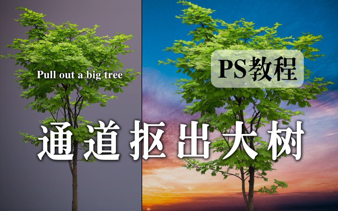 ps教程 通道抠大树哔哩哔哩bilibili