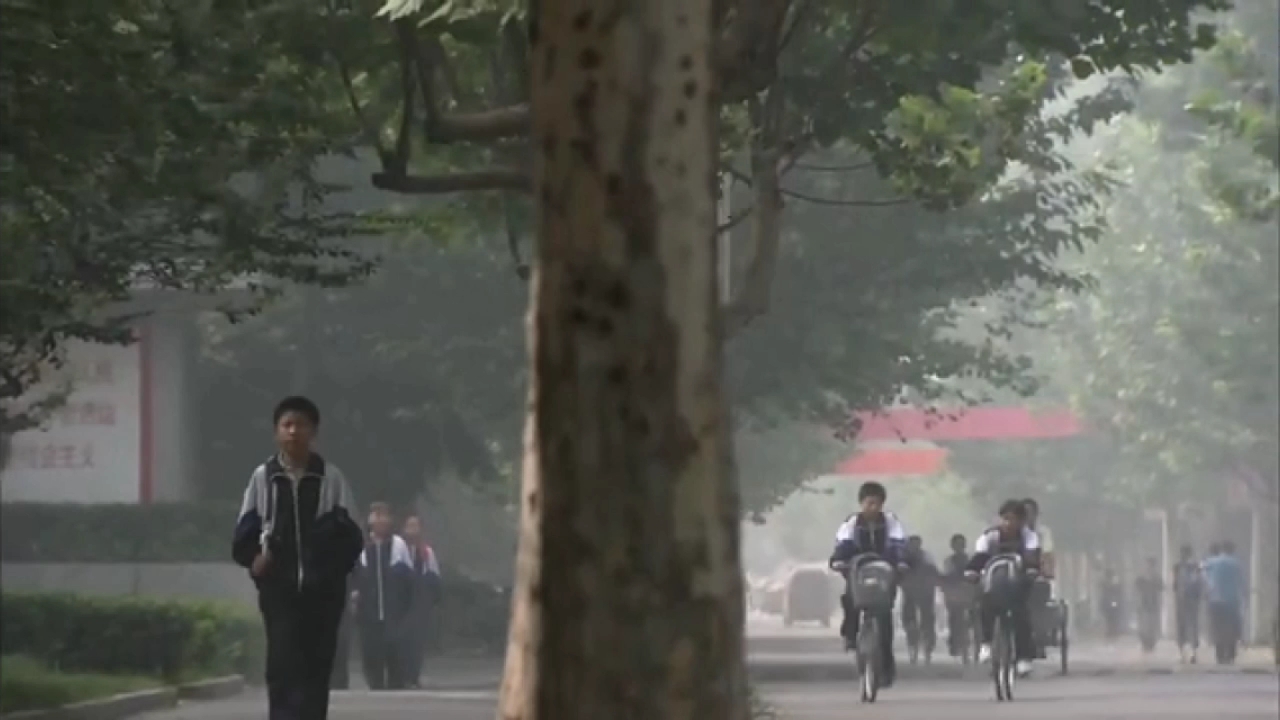 [图]【电视剧】《你是我的生命》桑岩因在校外打捶被妈妈罚跪的全片段。