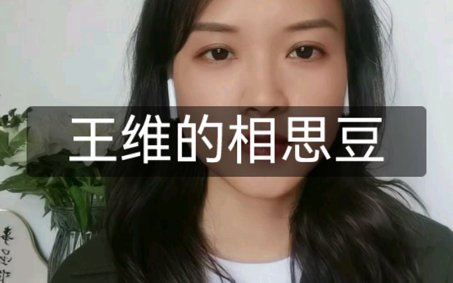 王维的相思豆哔哩哔哩bilibili