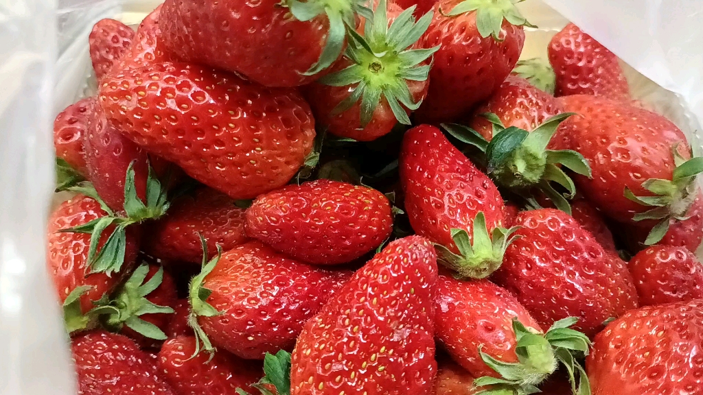 新鲜草莓～新鲜的甜草莓