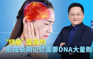 下载视频: 学习会“烧脑”是真的！形成长期记忆需要DNA大量断裂并修复