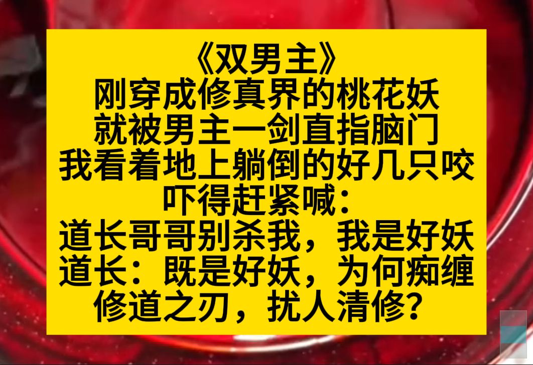 原耽推文 穿成修真界的桃花妖,刚来就被男主一剑直指脑门,我吓得赶紧求饶:道长哥哥,我是好妖……哔哩哔哩bilibili