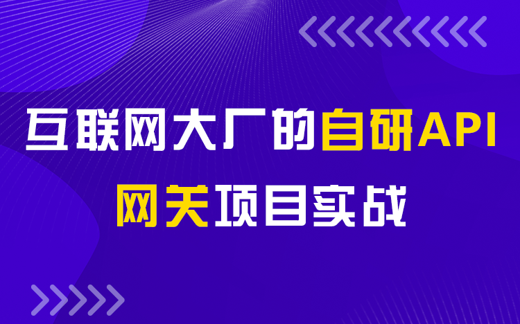 【儒猿课堂】Java项目实战《自研API网关系统》哔哩哔哩bilibili