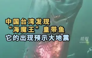 Download Video: 中国台湾地区近日发现“海魔王”皇带鱼，它在深海生存，很少见到人类。