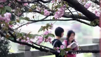 2012年的长沙民政学院春天胜景