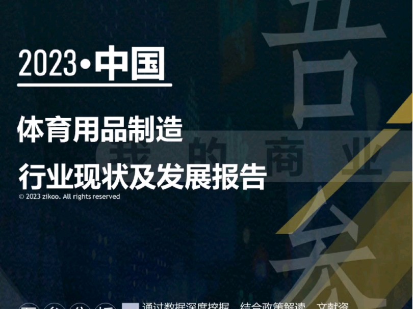 2023年版体育用品制造行业现状及发展报告哔哩哔哩bilibili