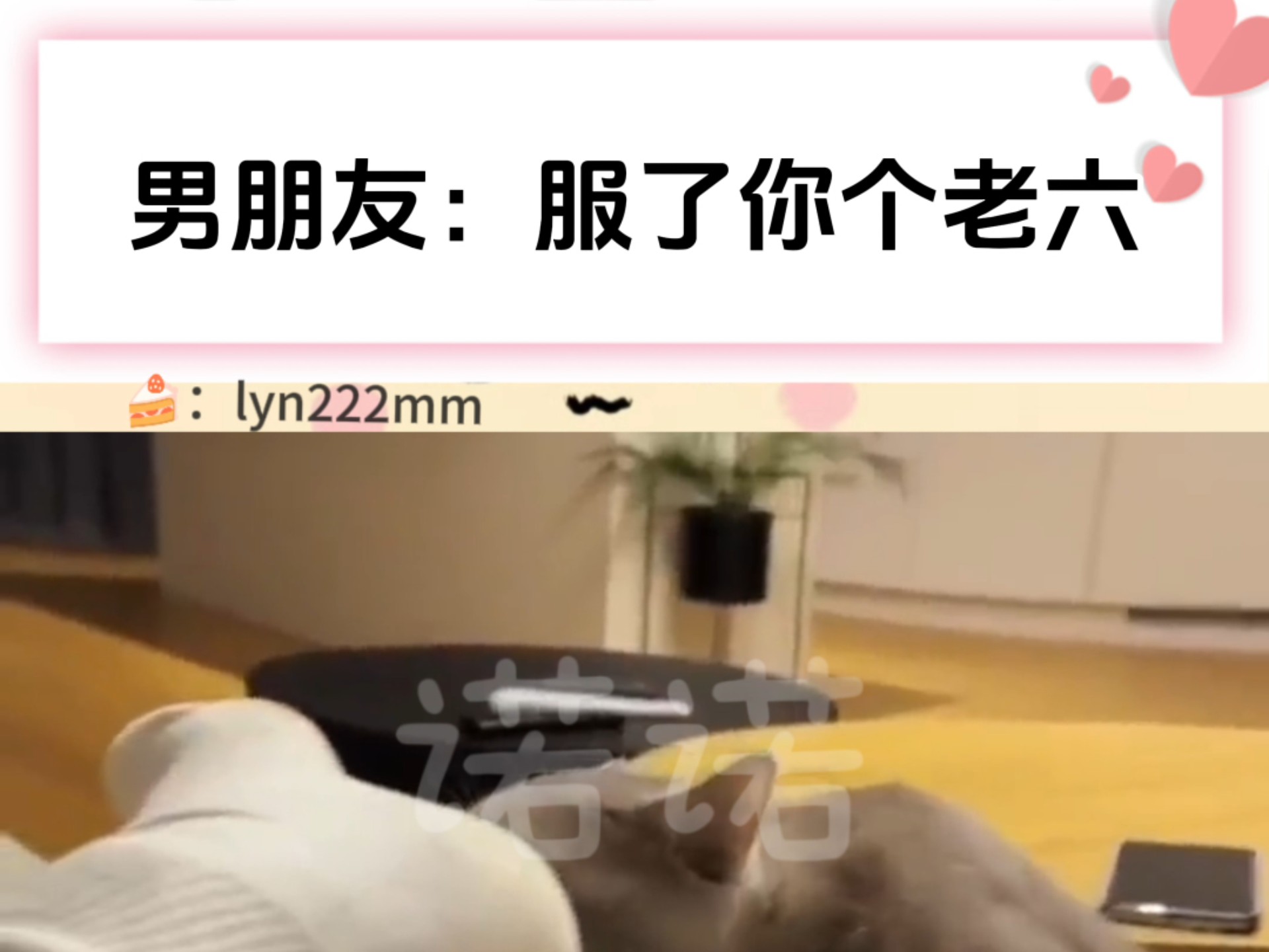 服了你个老六梗的意思介绍，你个老六我真的服了什么意思