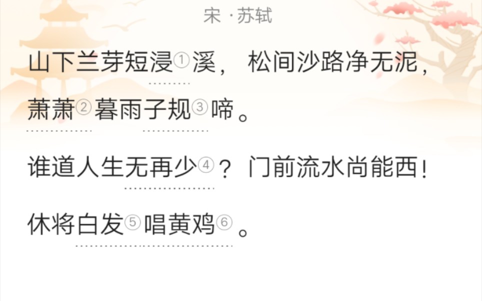 苏轼那些令人一见倾心的诗词哔哩哔哩bilibili