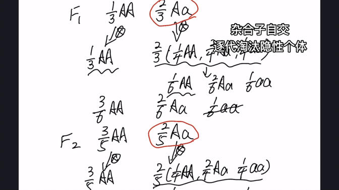 杂合子连续自交图片