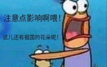 做一富家翁足矣哔哩哔哩bilibili