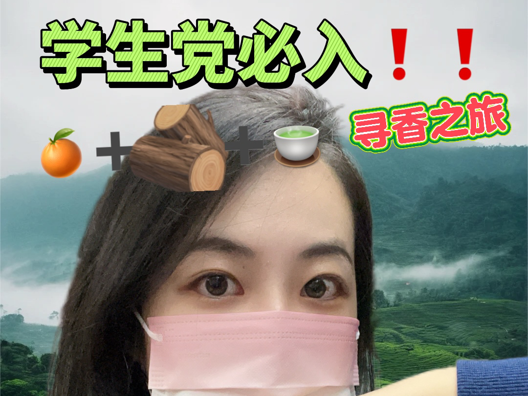 【寻香之旅】一百元!对学生党友好的柑橘木质茶香!哔哩哔哩bilibili