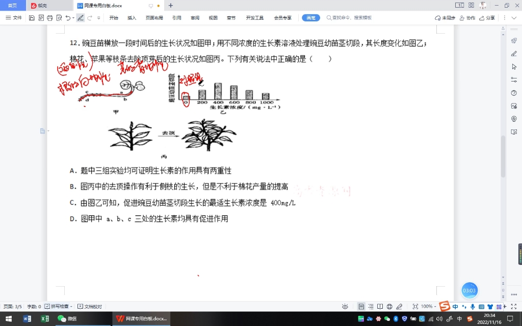 生长素的两重性哔哩哔哩bilibili