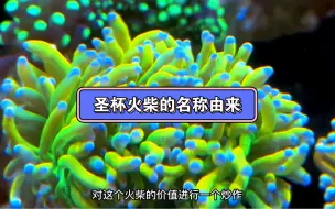 Download Video: 圣杯火柴的名称由来